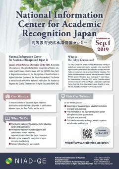 NICJP Flyer (EN)